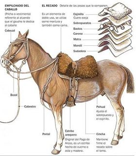 Como encilhar o cavalo à moda antiga