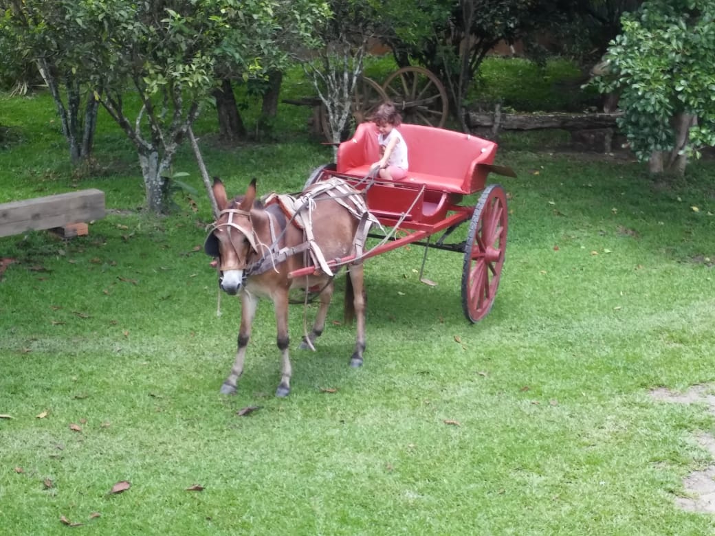 Charrete centenária